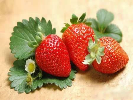 查处400公斤毒草莓，现摘草莓勿直接吃！420 / 作者:thkfh / 帖子ID:111828