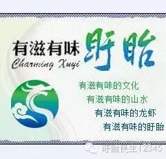 赵鸿飞:孤寡老人身边的“孝孙”