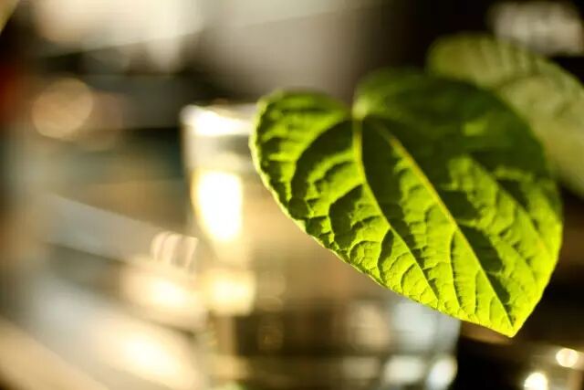 美容师，你没业绩的根源在这里！