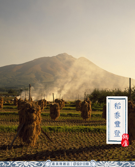 处暑下雨_处暑下雨了_处暑下雨怎么说