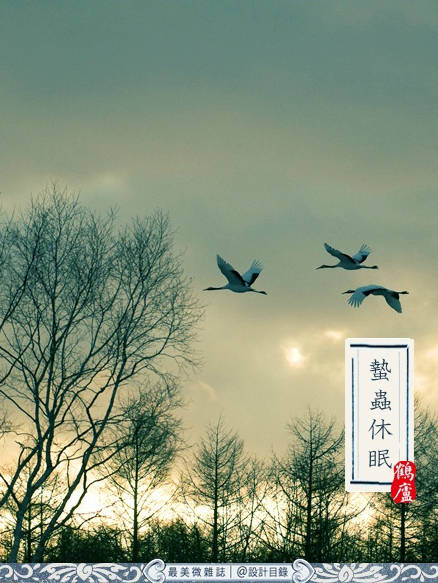 【传统节气】立冬:牵你温暖的手,走进浪漫冬天! - 快乐成长 - 温馨家园 【传统节气】立冬:牵你温暖的手,走进浪漫冬天! - 快乐成长 - 温馨家园