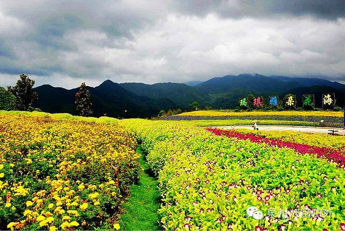 【4月12日(周日)】漳州玛琪雅朵花海,寻梦谷1日游,特价150元