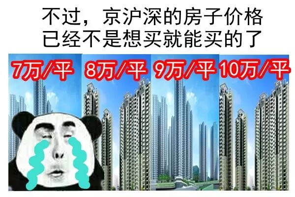 老板，房价疯了，快卖船买房啊