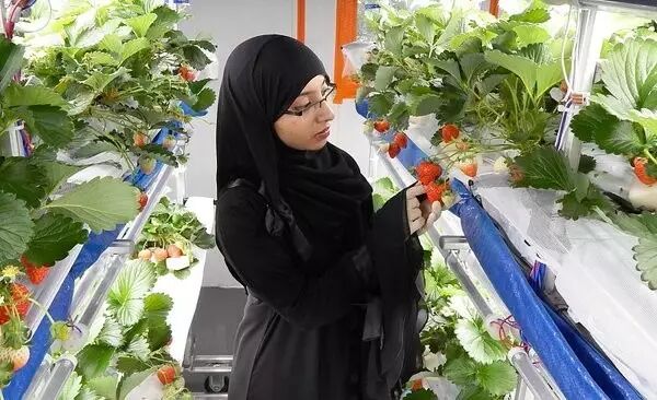 LED植物照明爆发在即？先看看进击中的工厂有多努力