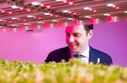 LED植物照明爆发在即？先看看进击中的工厂有多努力