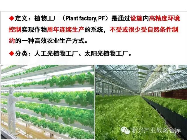 植物工厂技术发展有何难点？如何应对？
