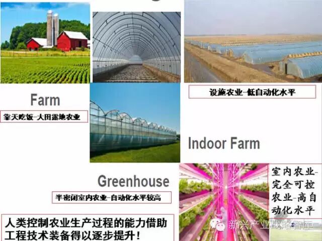 植物工厂技术发展有何难点？如何应对？