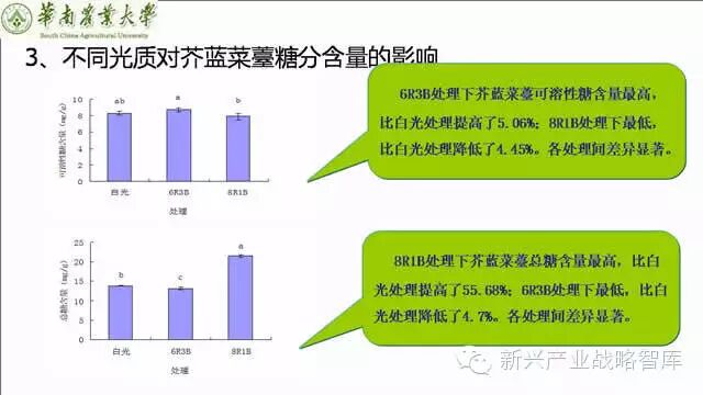 谁说植物工厂不值得推广？