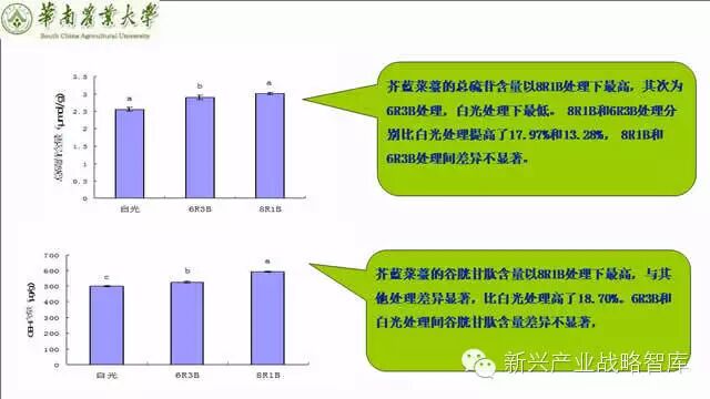 谁说植物工厂不值得推广？