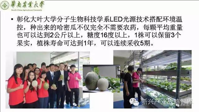 谁说植物工厂不值得推广？