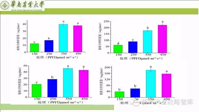 谁说植物工厂不值得推广？