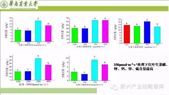 谁说植物工厂不值得推广？