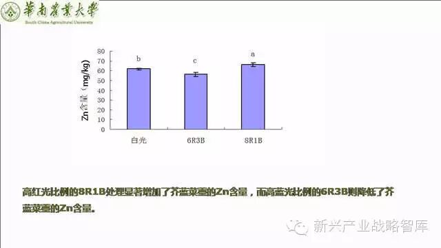 谁说植物工厂不值得推广？