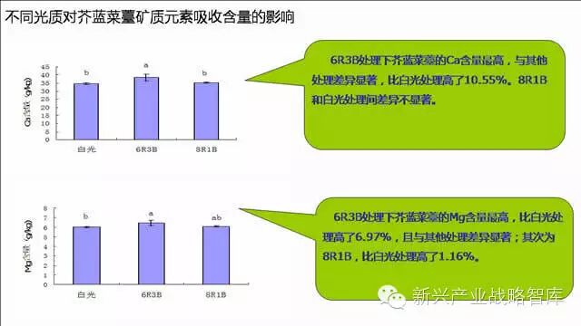 谁说植物工厂不值得推广？