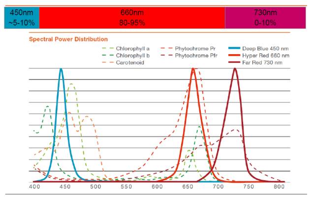 由欧司朗产品布局看LED植物照明发展图谱