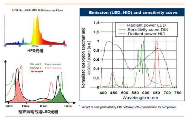 由欧司朗产品布局看LED植物照明发展图谱