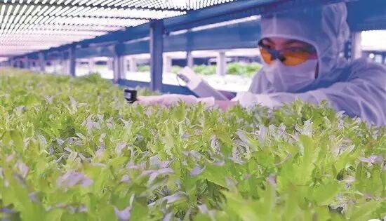 五月收官倒计时，LED企业都在忙什么？