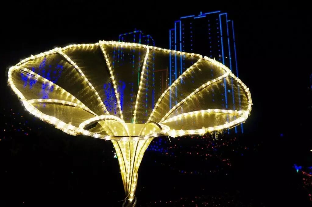 3000万盏LED灯闪亮灯光节，“编织”梦幻夏夜