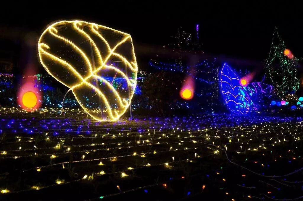 3000万盏LED灯闪亮灯光节，“编织”梦幻夏夜