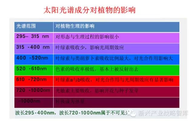他说：农业照明实践与搞研究大为不同…