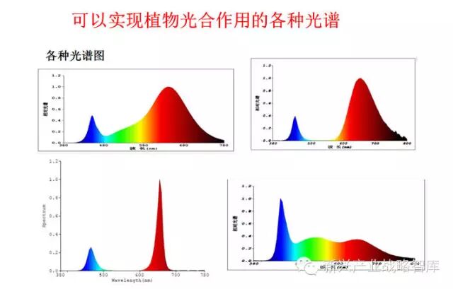 他说：农业照明实践与搞研究大为不同…