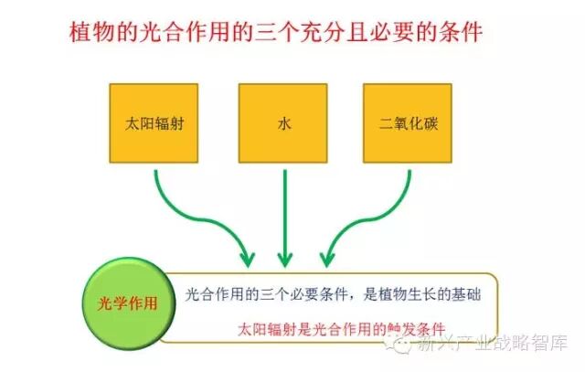 他说：农业照明实践与搞研究大为不同…