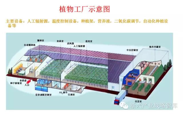 他说：农业照明实践与搞研究大为不同…