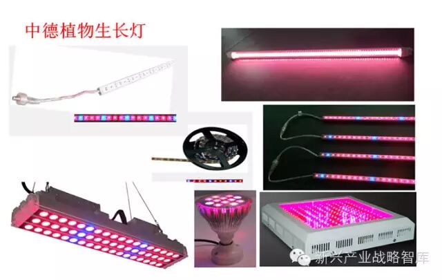 他说：农业照明实践与搞研究大为不同…