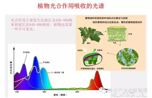 他说：农业照明实践与搞研究大为不同…