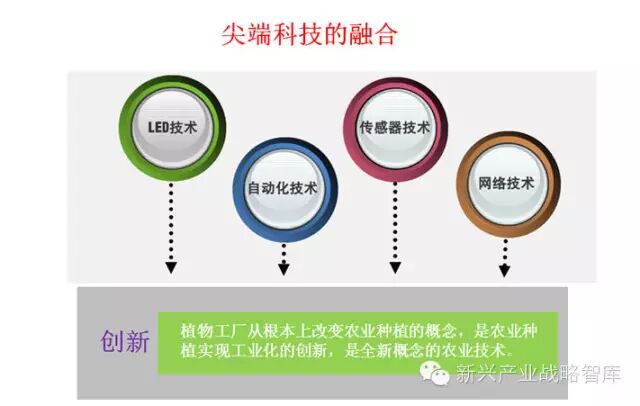 他说：农业照明实践与搞研究大为不同…