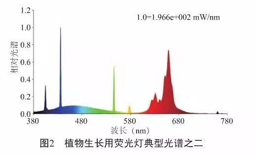 向“绝命毒师”致敬，不如看植物照明“双雄”比拼