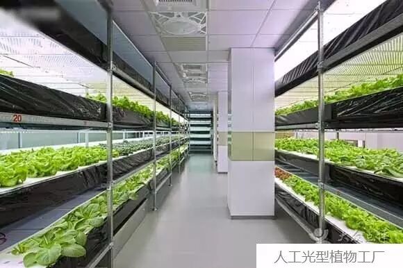 实用主义才是“王道”，向这六种LED技术的研发者致敬！