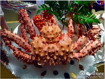 福州美食界一姐依人淡如菊推荐：真心震撼！雍和会，中国海鲜姿造开创者与领导者！食材稀罕、全球顶尖！