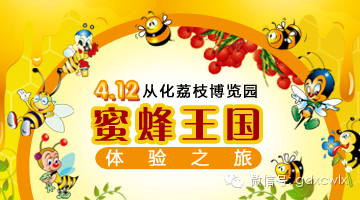 4.12从化荔枝博览园之旅王国v荔枝蜜蜂被眼皮把蚊子咬肿了怎么办图片