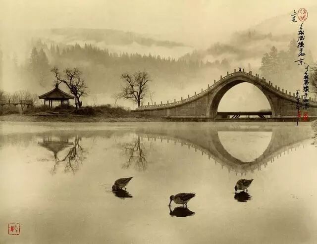 友不在多，贵在风雨同行