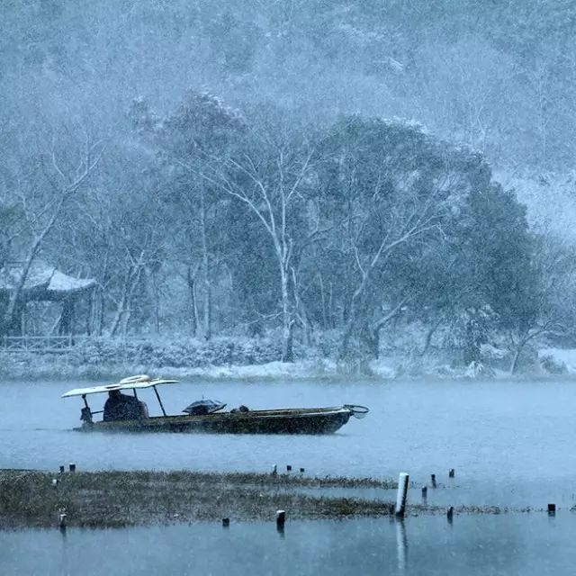 心若无尘,落雪听禅