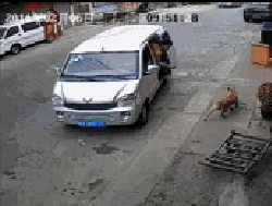 遇到这些天才小偷，警察神马的都是浮云！亮点在最后！957 / 作者:红通通 / 帖子ID:107374