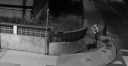 遇到这些天才小偷，警察神马的都是浮云！亮点在最后！488 / 作者:红通通 / 帖子ID:107374