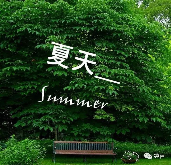 久石让完美弹奏《菊次郎的夏天》——《Summer》