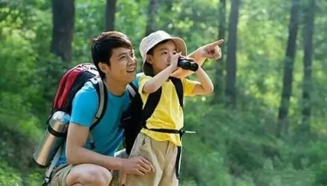 杨澜: 我可以接受孩子失败, 但不能接受他没有尝试