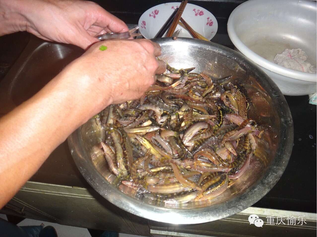 2014年11月25日在三哥家组织吃中华沙鳅（龙丁，沙泥鳅）