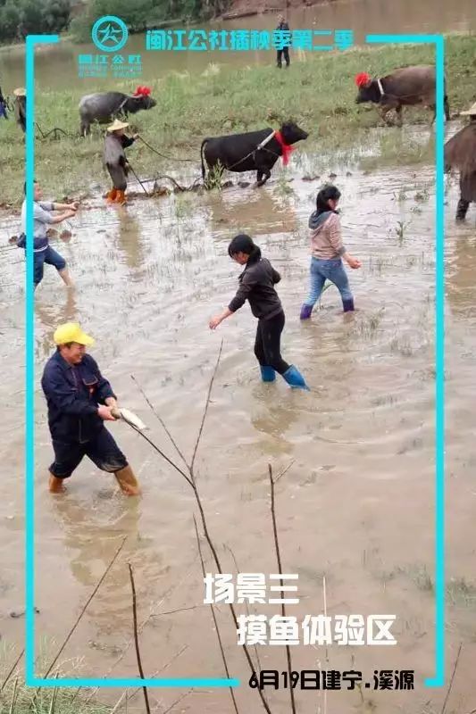 场景三:400平米戏水池,水深30cm,为摸鱼体验区,60人同时进行摸鱼比赛