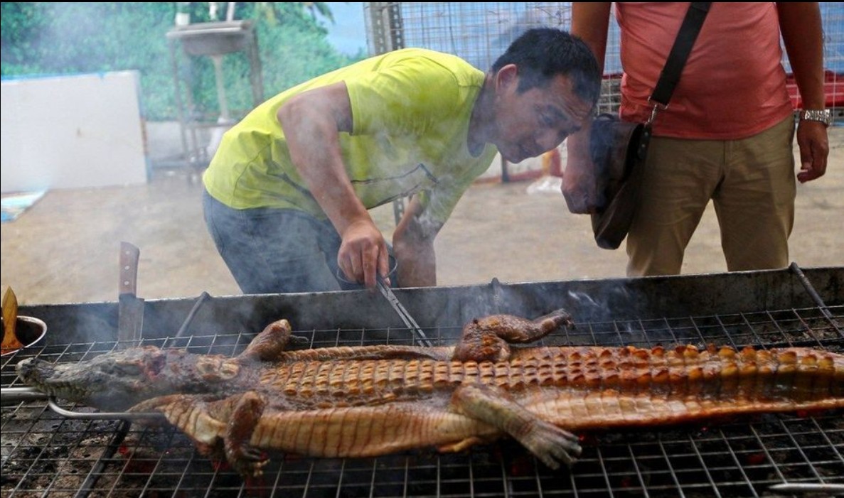 广西十大黑暗料理，桂林就占了两样 ，你还知道哪些？！685 / 作者:欧耶 / 帖子ID:108856