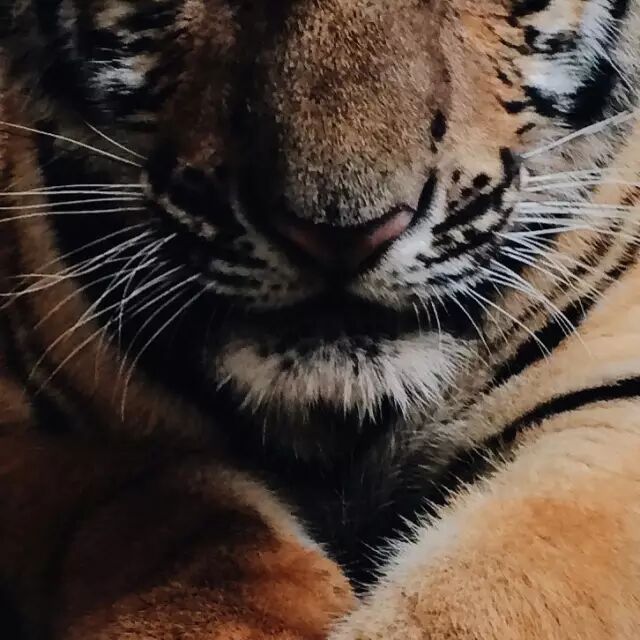 龙皓晨与魔神皇的关系_龙卷知道琦玉的实力吗_银龙王实力