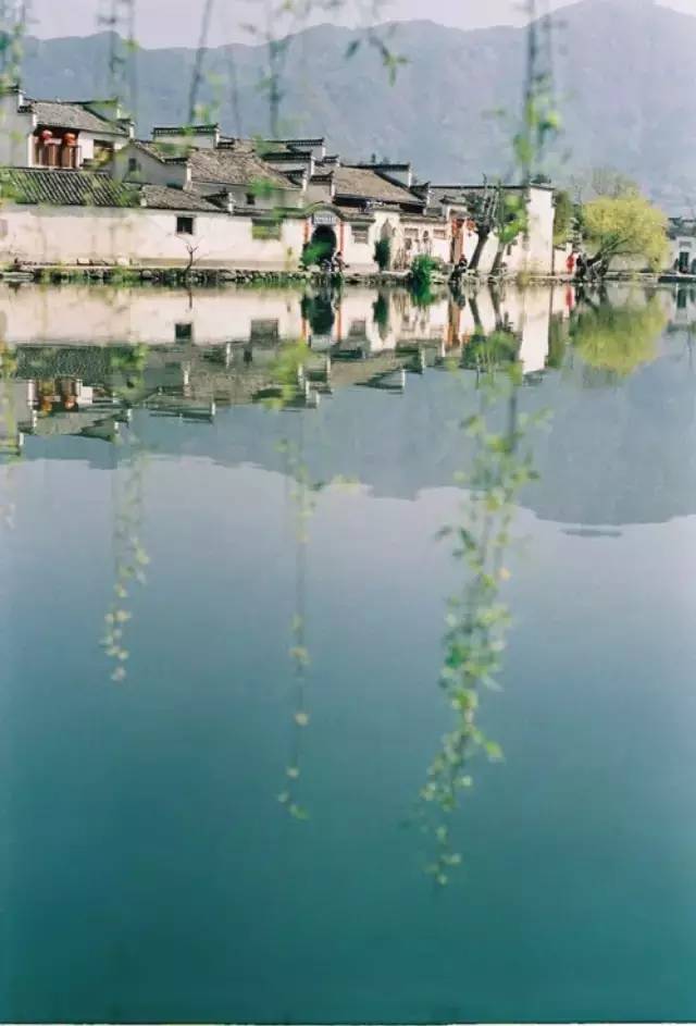 梦到满山鲜花盛开_梦到盛开鲜花满山什么意思_梦见满山鲜花盛开并釆花