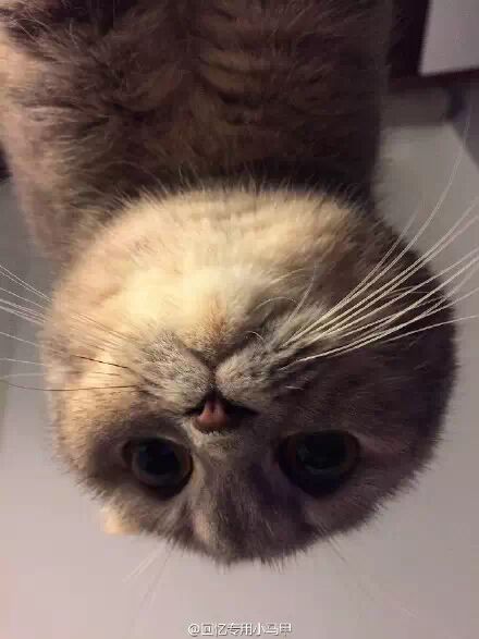 如今这个社会到底怎么了！158 / 作者:thkfh / 帖子ID:111600