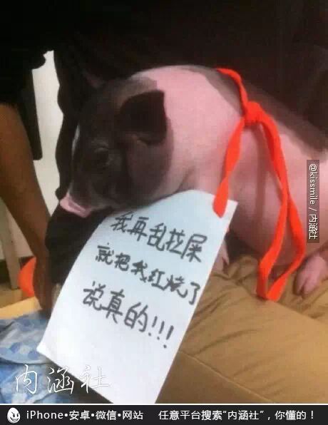 【每日内涵精选图】住在这样的房子里，是绝对需要勇气的419 / 作者:红通通 / 帖子ID:111767