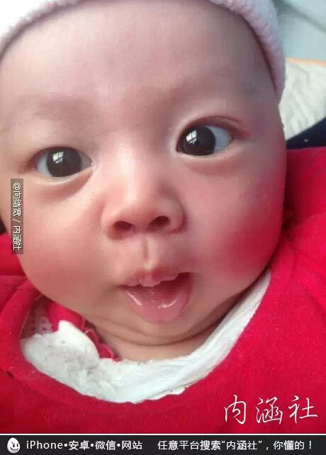 【每日内涵图精选】给个建议，不用谢我。587 / 作者:红通通 / 帖子ID:111601