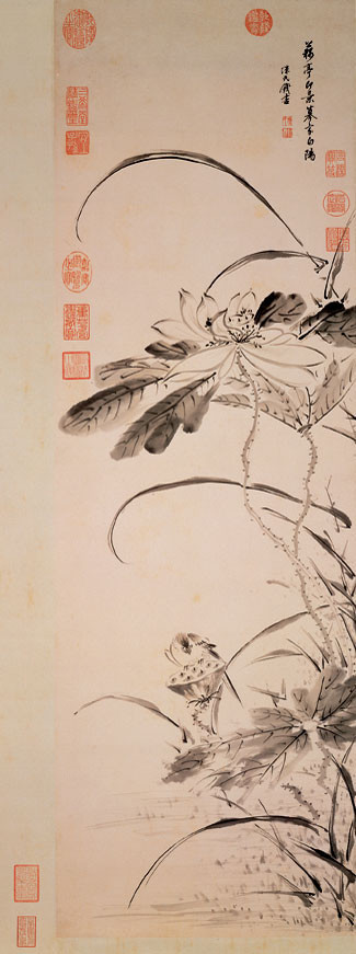 书法第一网:荷花图