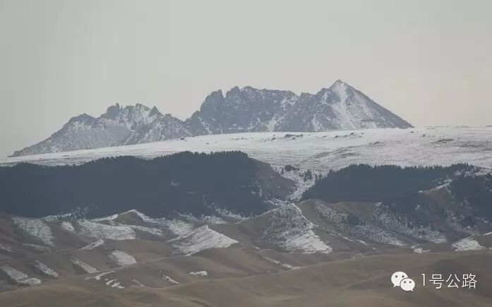 游记|外出务工勿忘计划生育、寒冬自驾甘肃祁连山皇城大草原-怀孕期